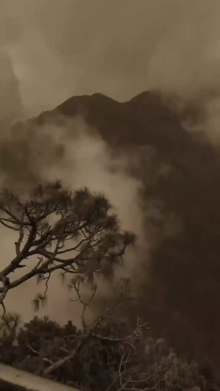 @Aaشhir 🕊️