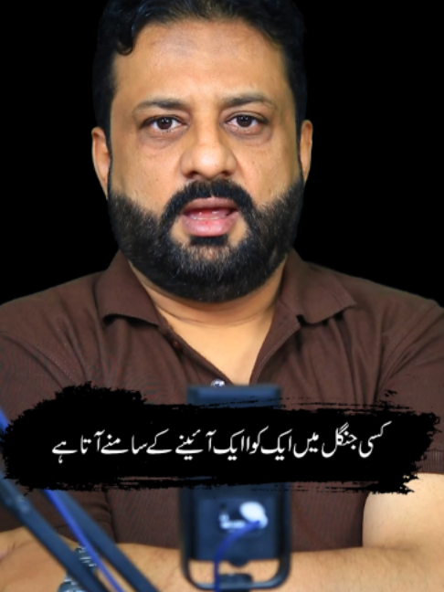 @irfanbukhari