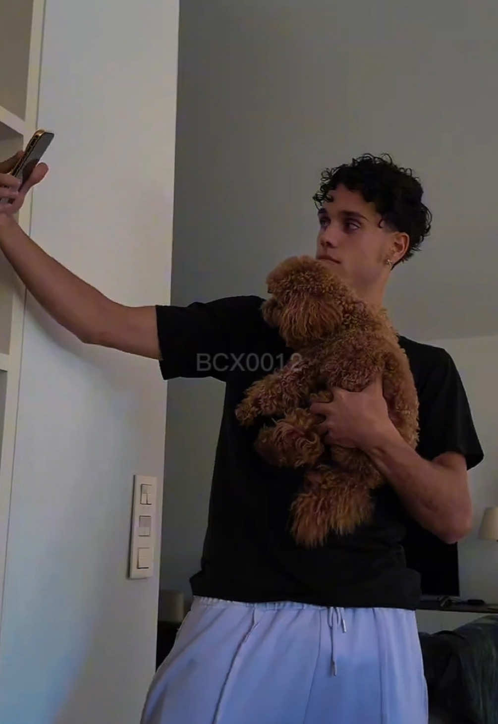 @Bcx0012
