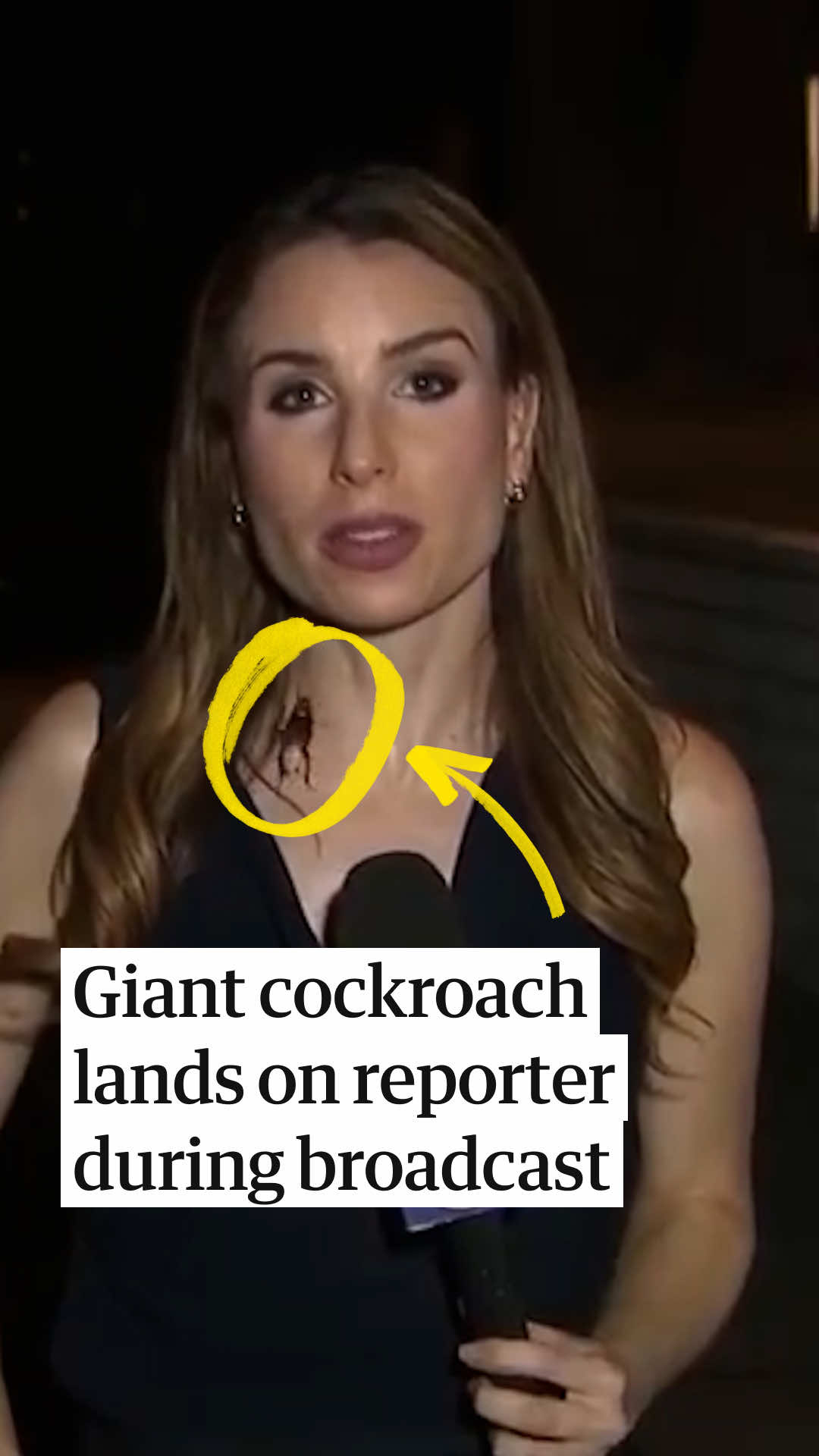 @The Guardian
