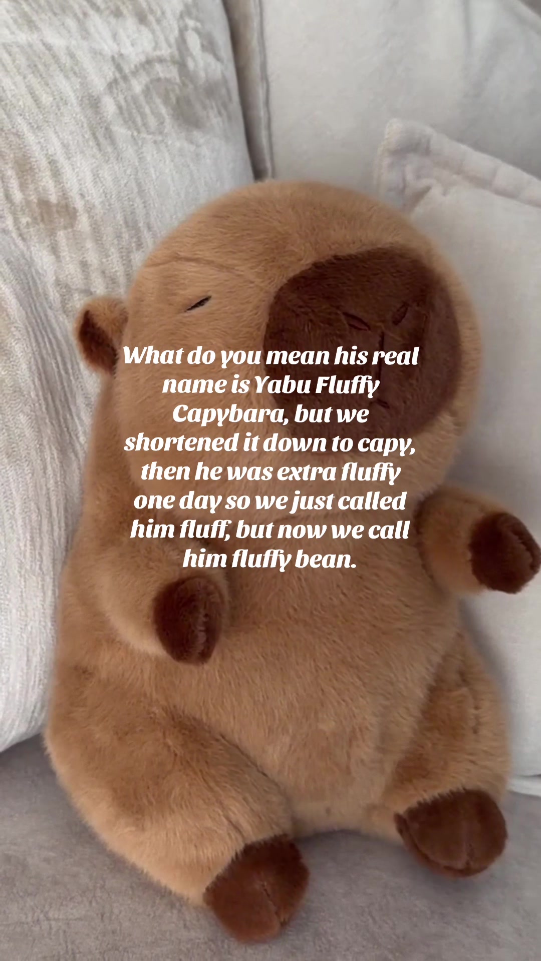 @KENJI