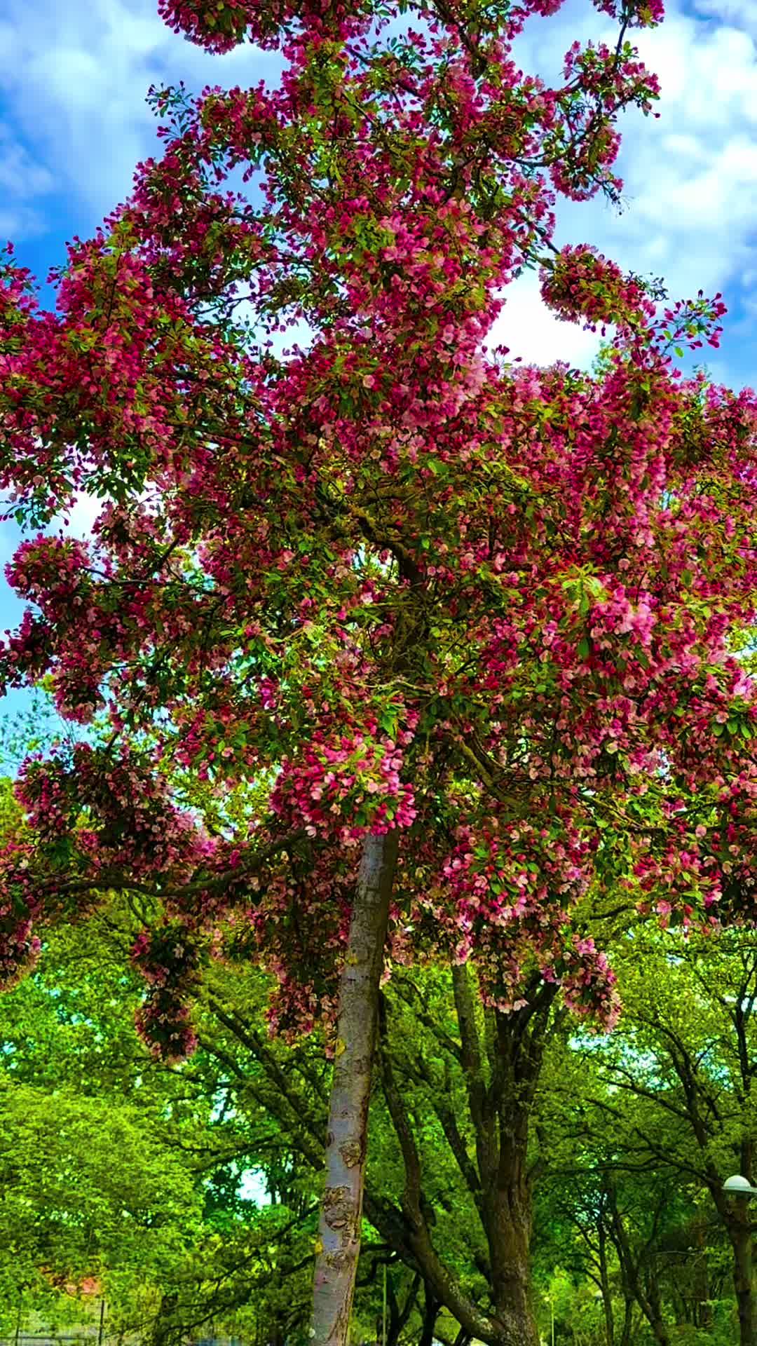 @NatureArts