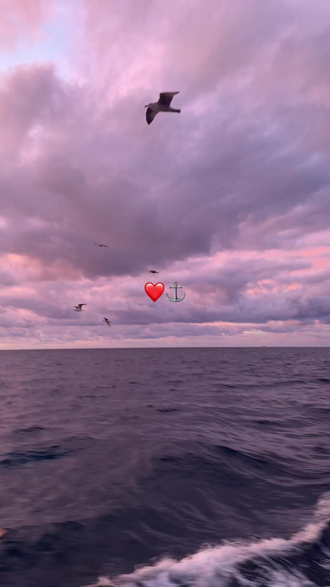 @Hich Sta ❤️⚓️
