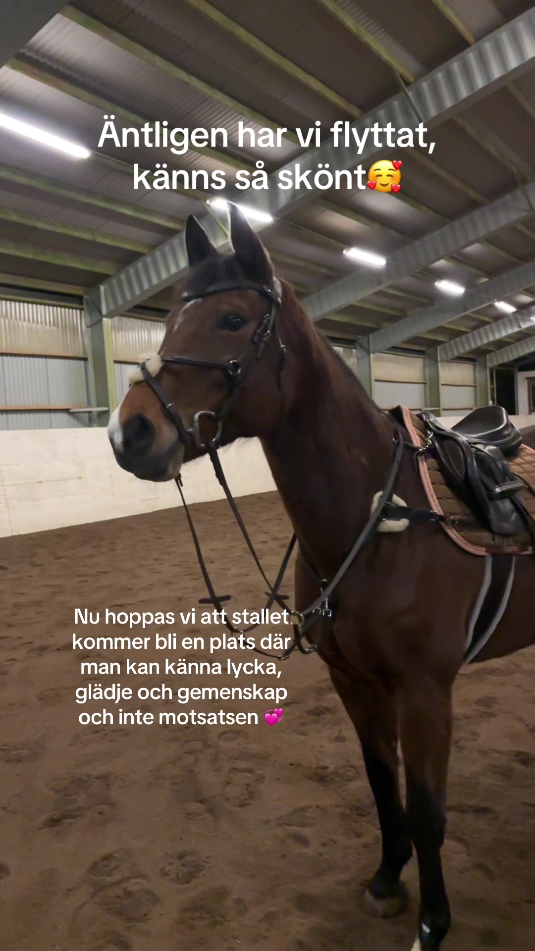 @🎀🤍Emmali🤍🎀
