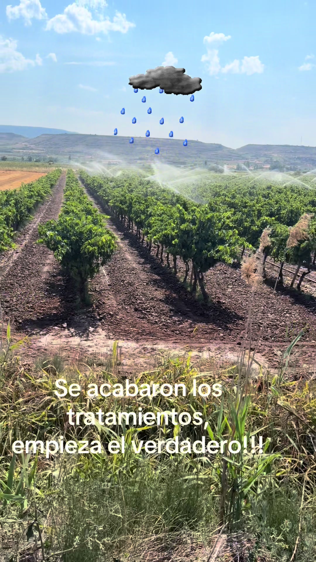 @Javier Valiente