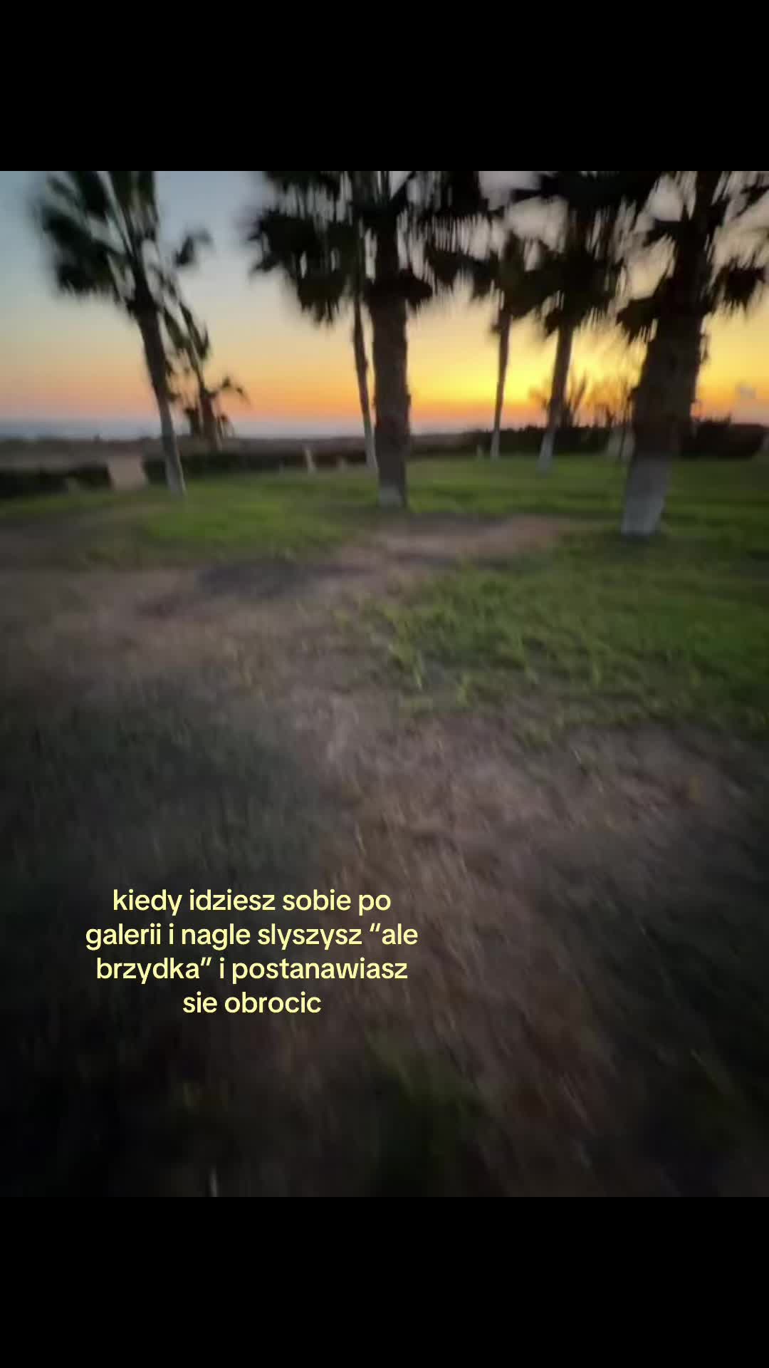 @xdbekan