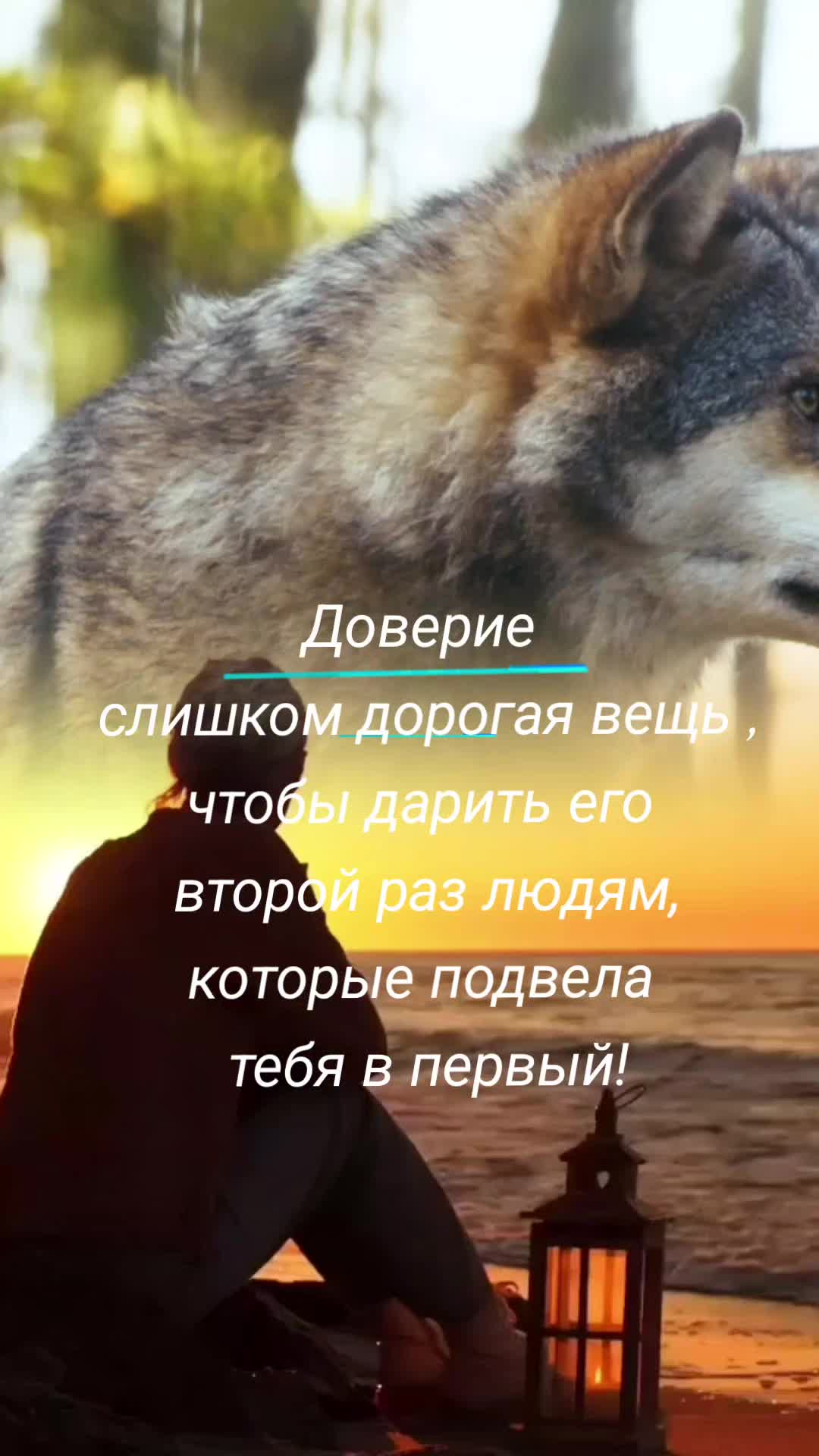 @Волчица и её волк❤️