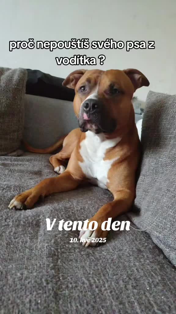 @bruneta_Se_Z&aacute;drhelem