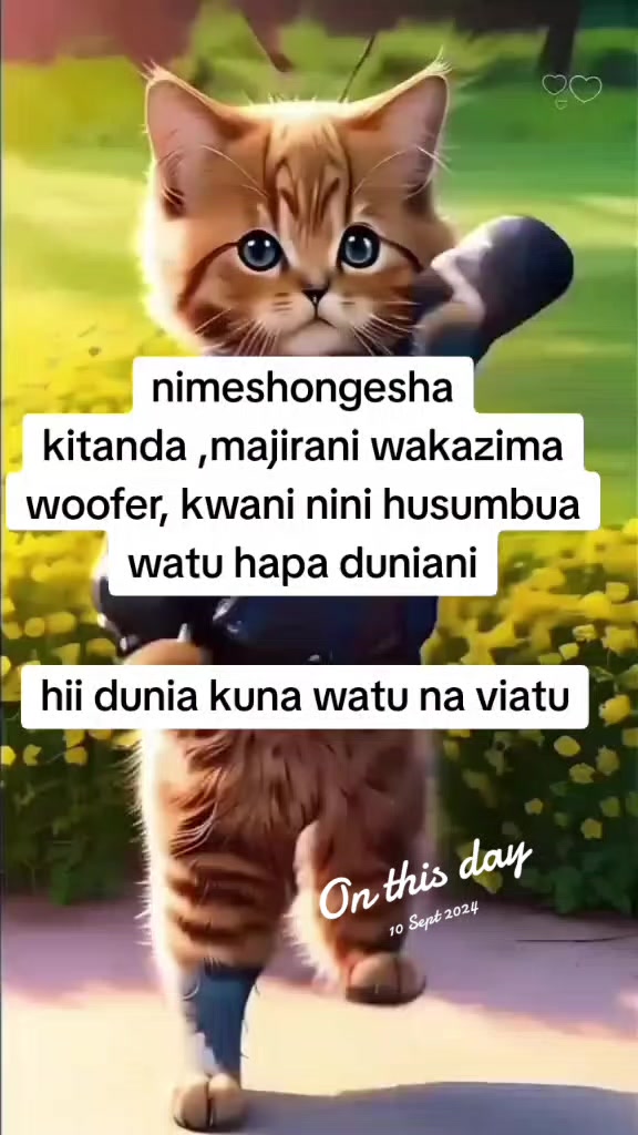 @u guy