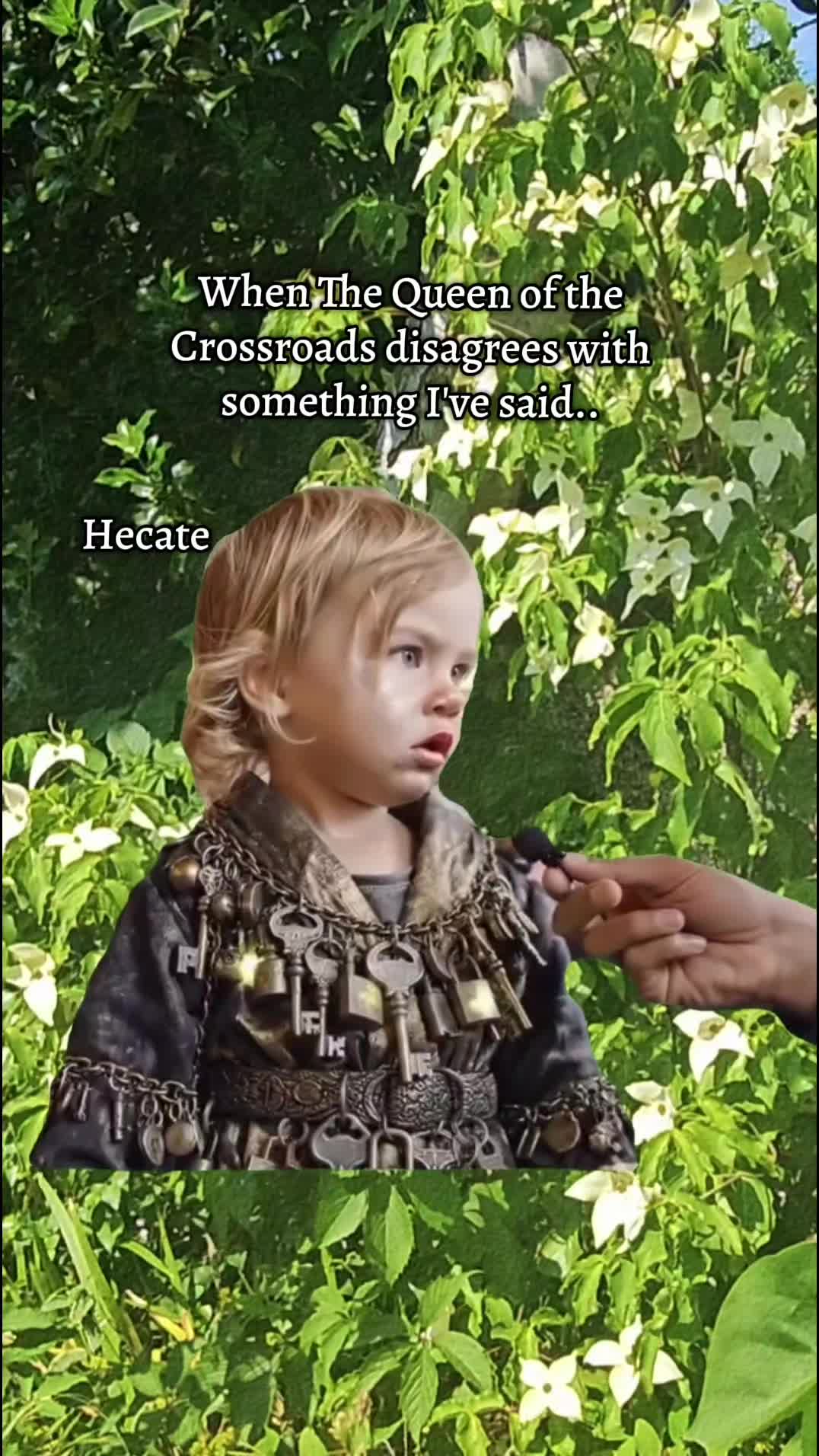 @modernwitchery444