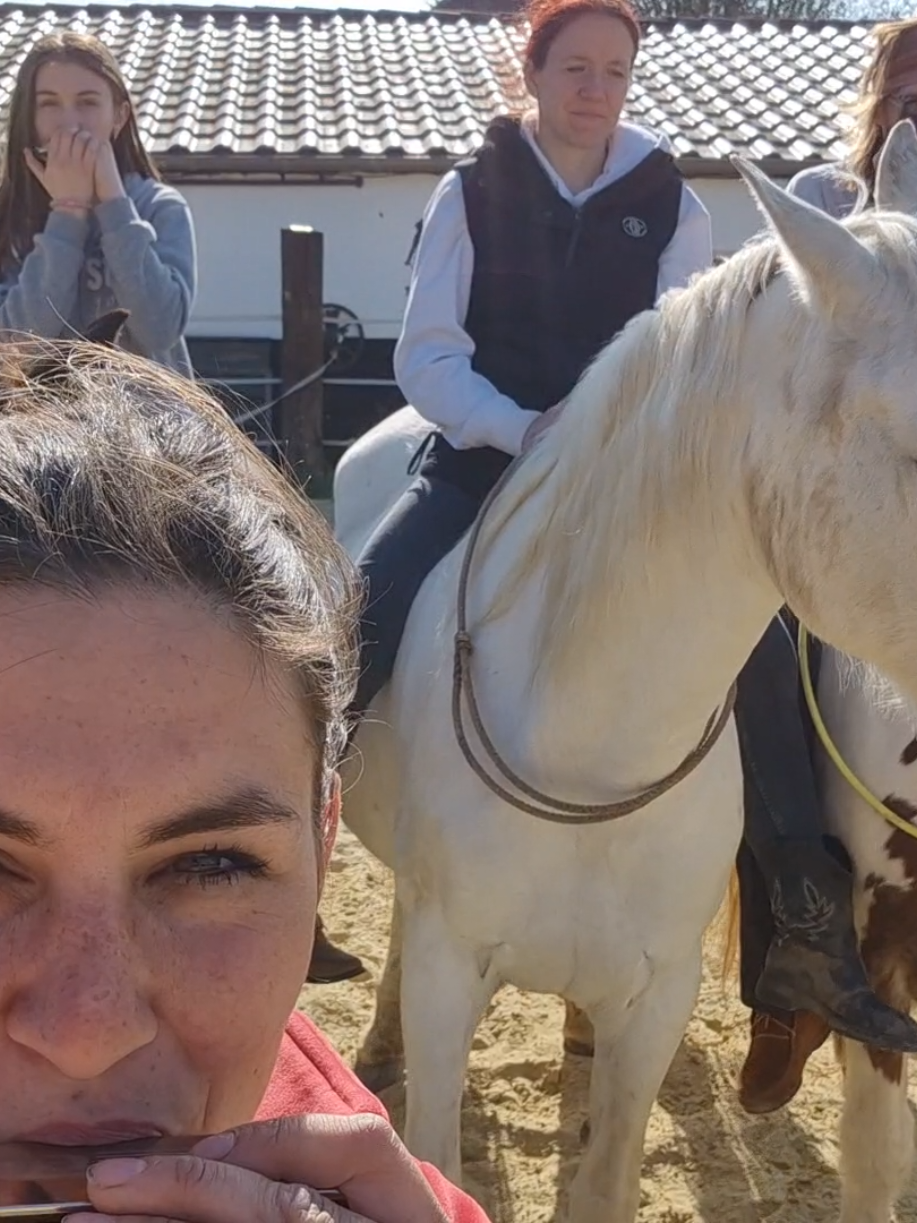 @Lisas kleine Ranch 🐴