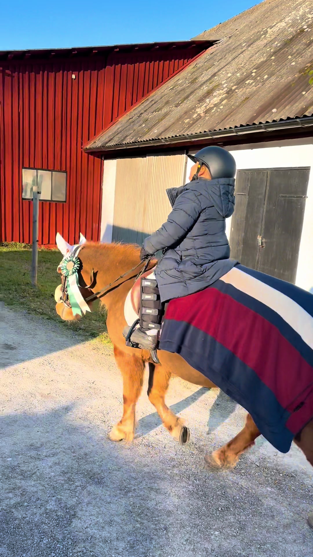 @Linn Helander 🌸