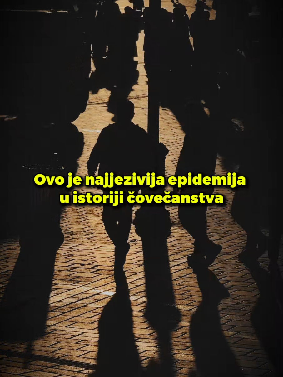 @Dićo