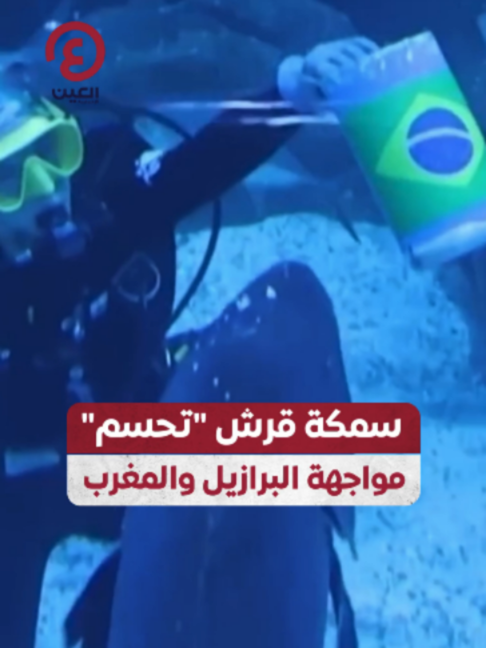 @العين الرياضية
