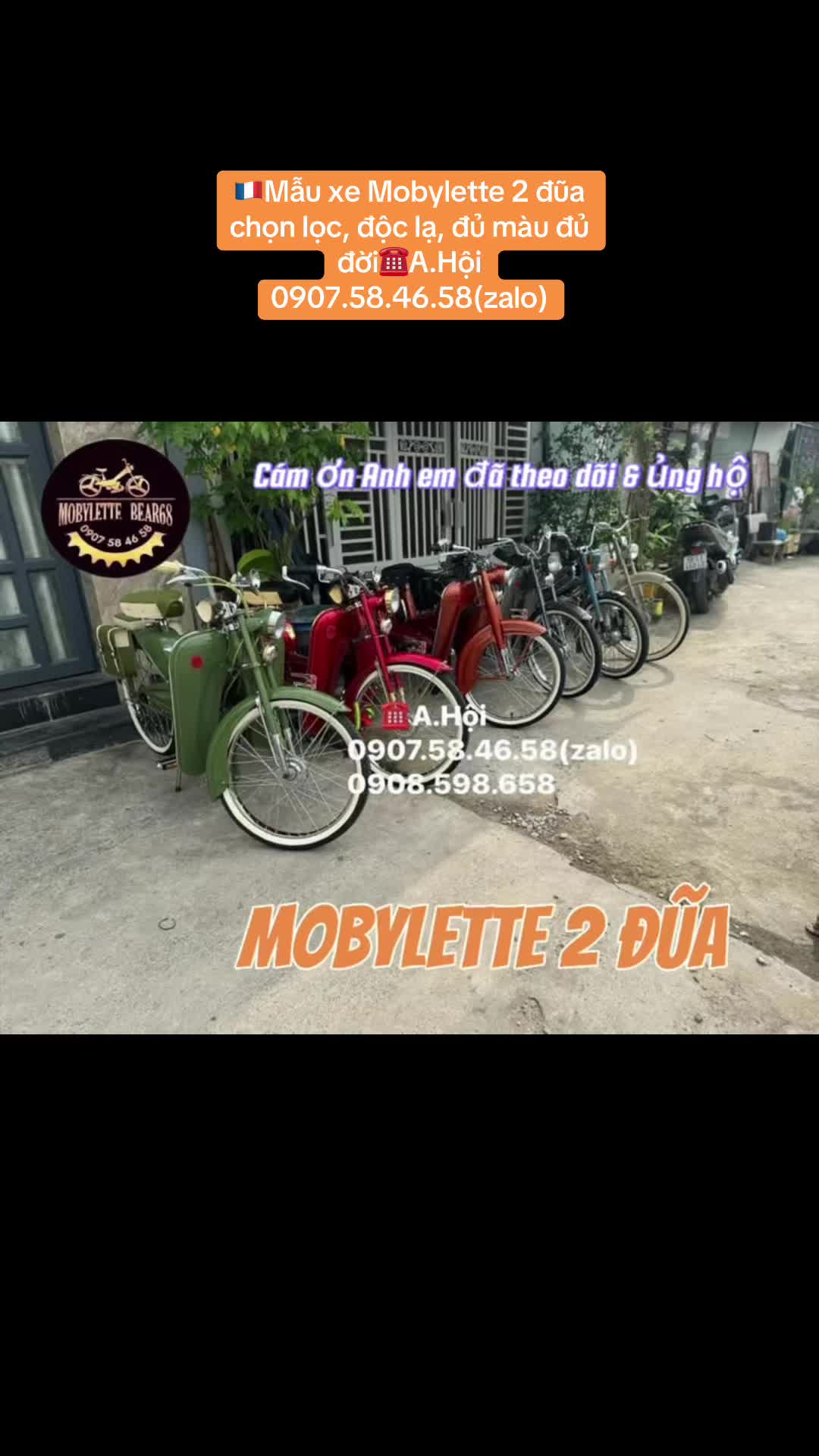 @Bear Mobylette