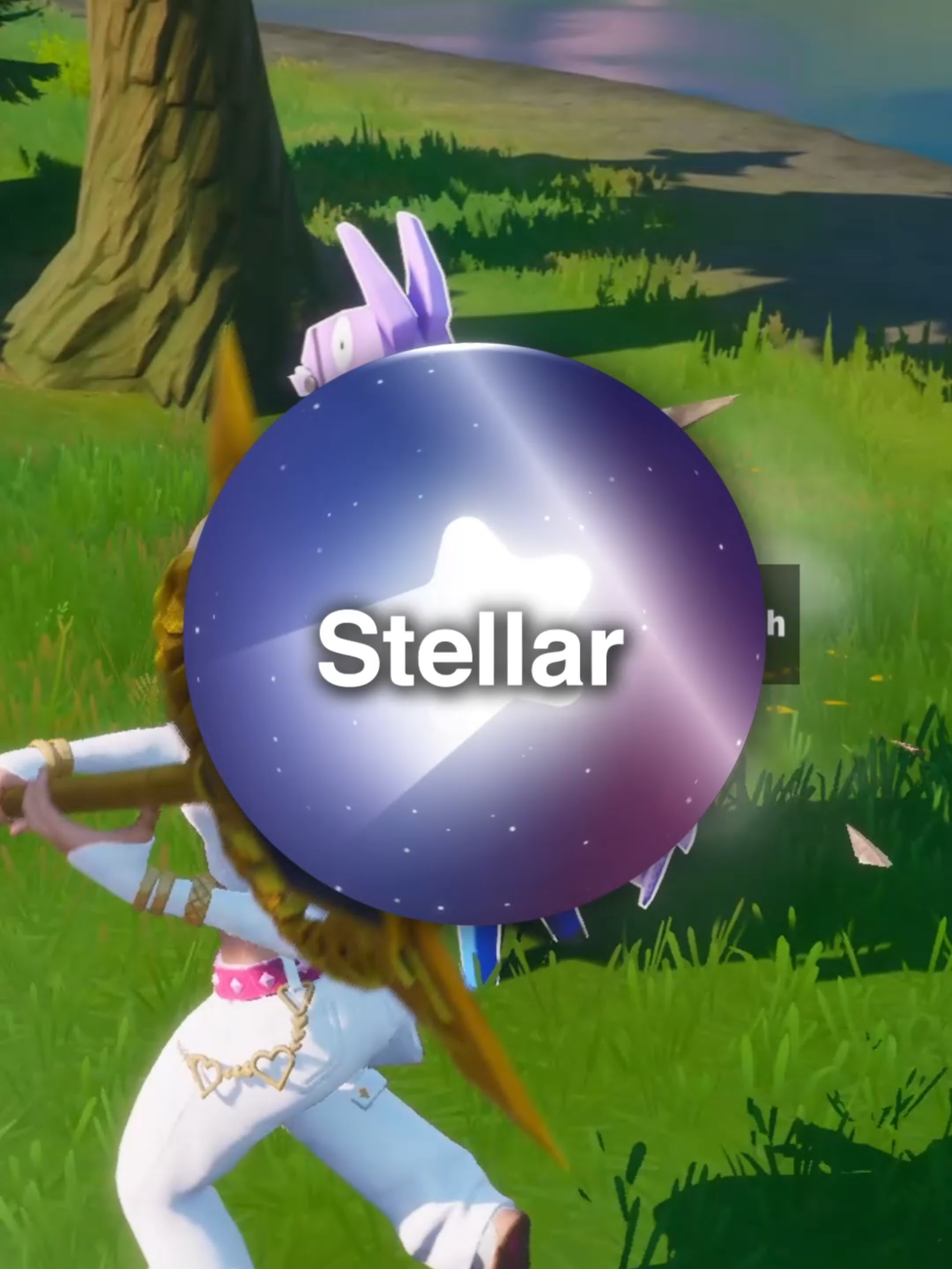 @Project Stellar