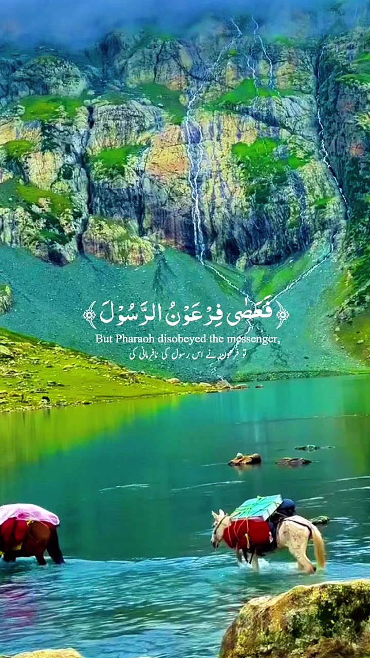 @allah waly