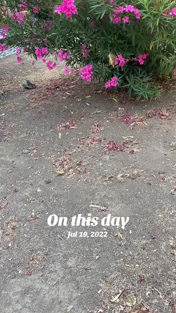 @BeautyInStrangePlaces