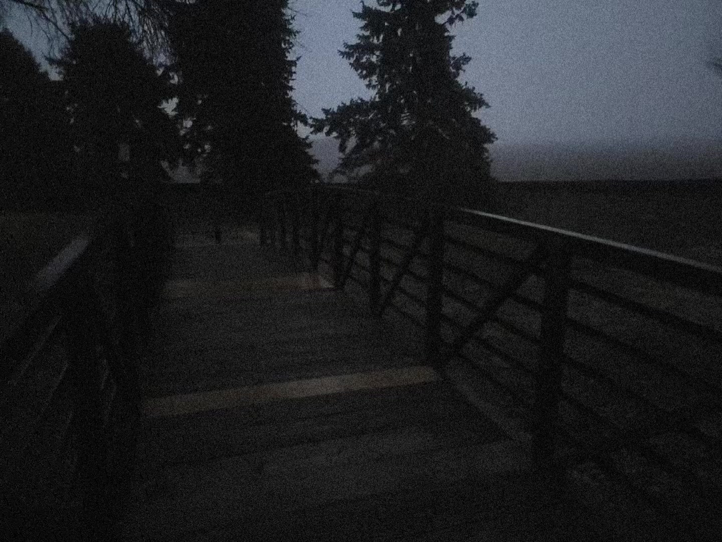 @𝒔𝒐𝒏𝒈𝒔