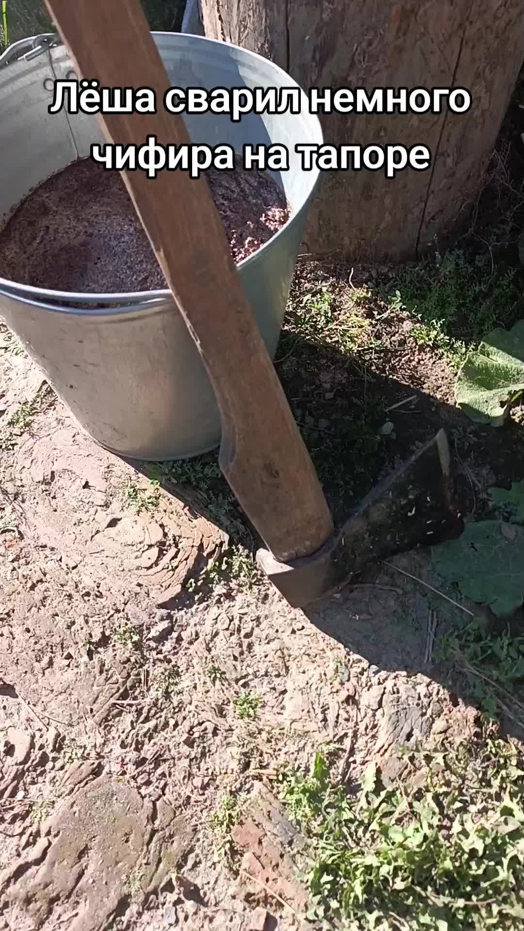 @Лёша в голоше