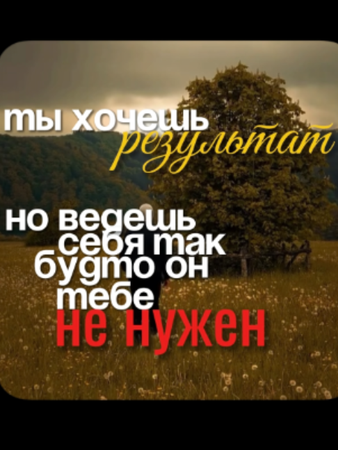 @Lunex