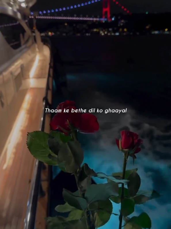 @ᶻᵘⁿⁱⁱ~