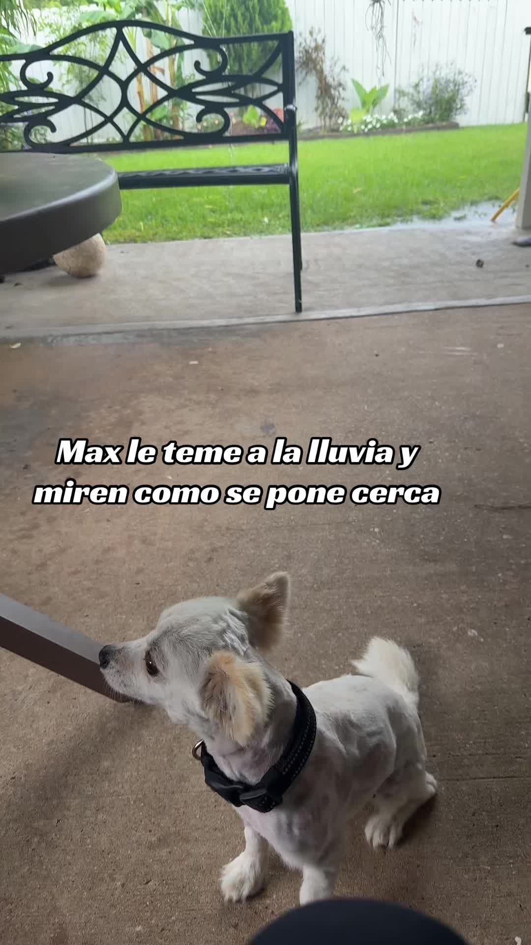 @@♡ymuchomas