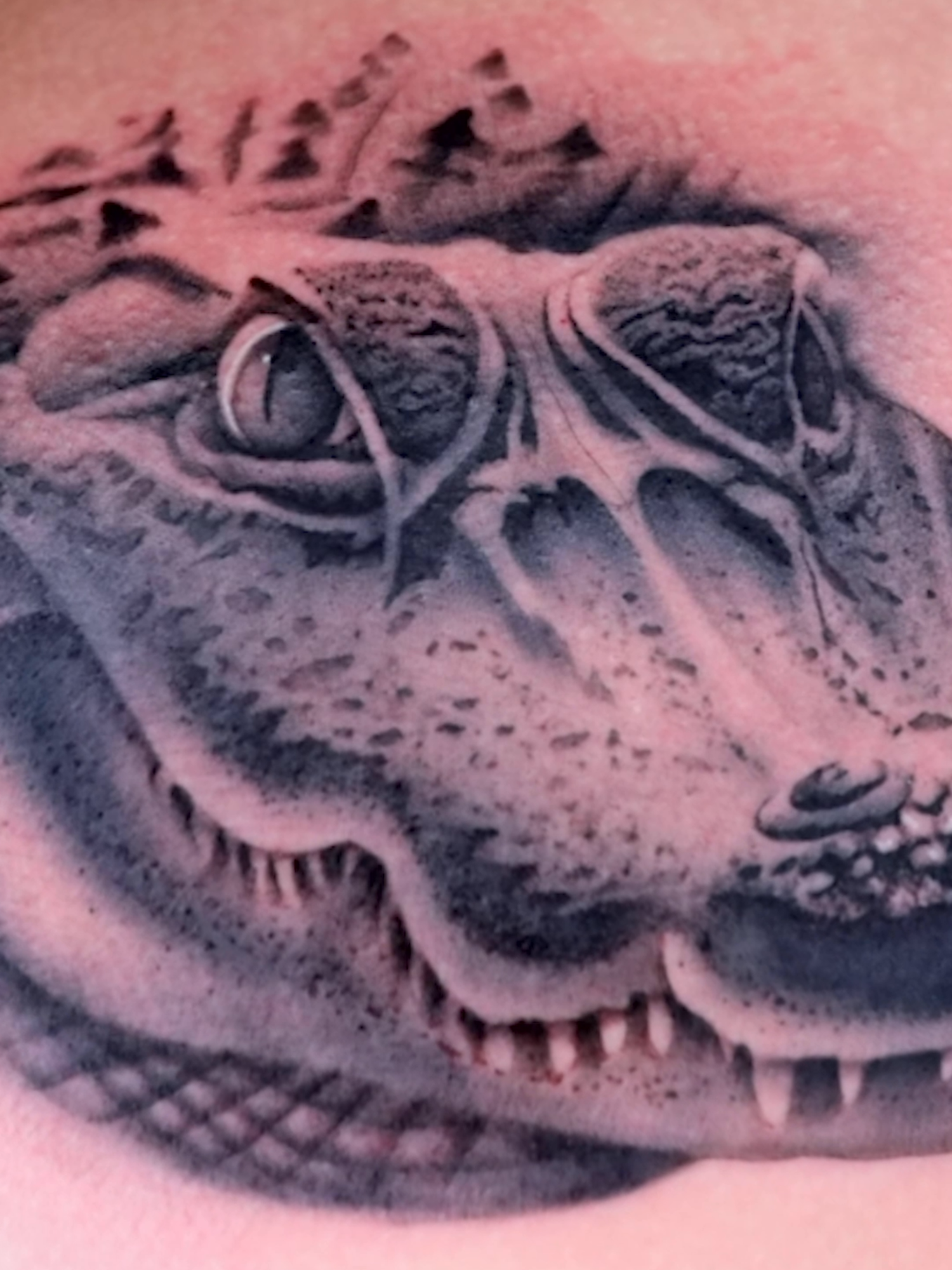 @Ink Master