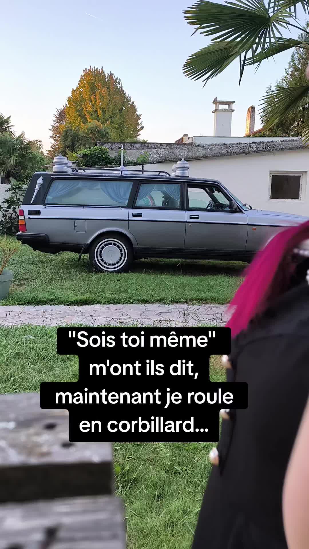 @Julie Zelda 🇫🇷
