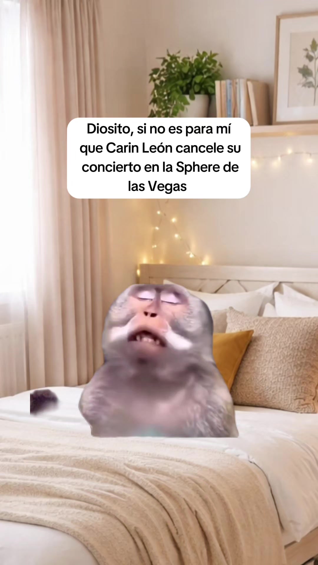 @_lu.g02 ✨️