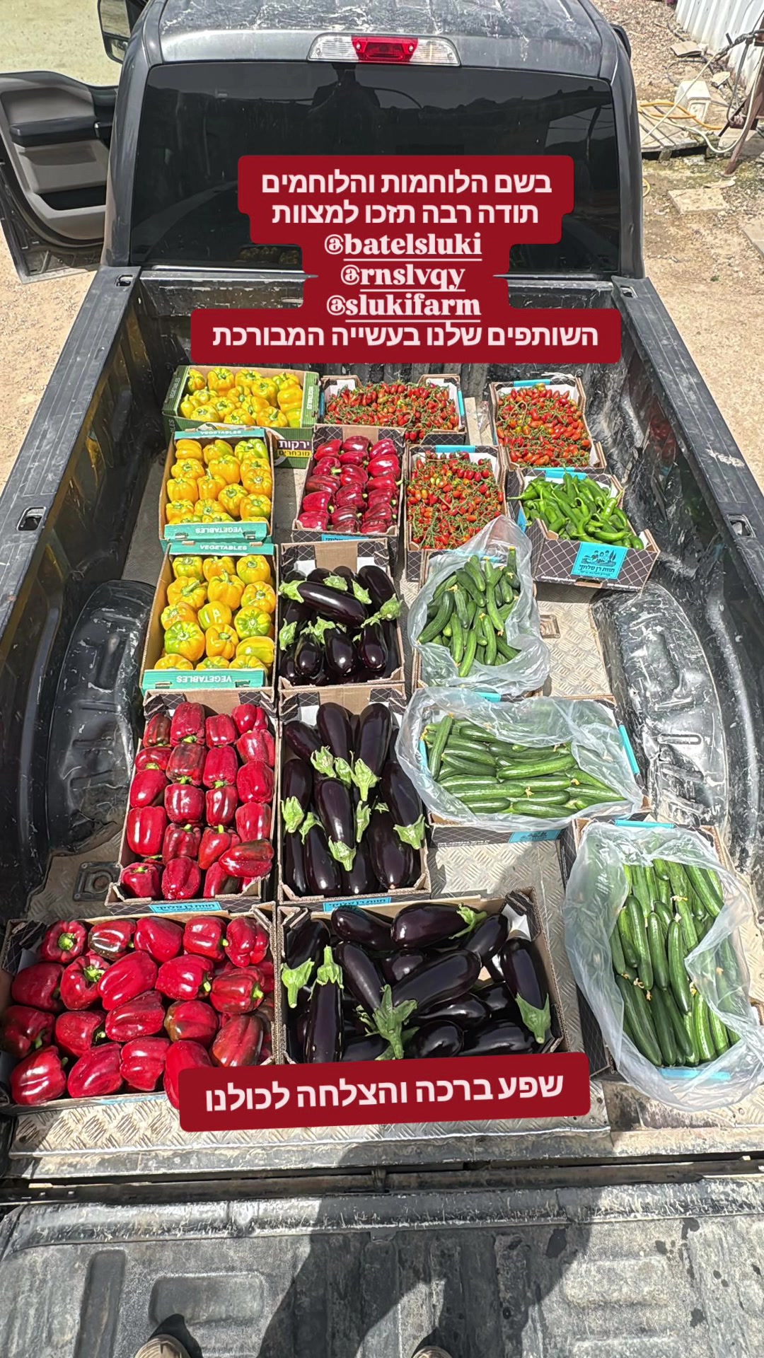 @טיקטוק_אהרון גרוס_חיילים