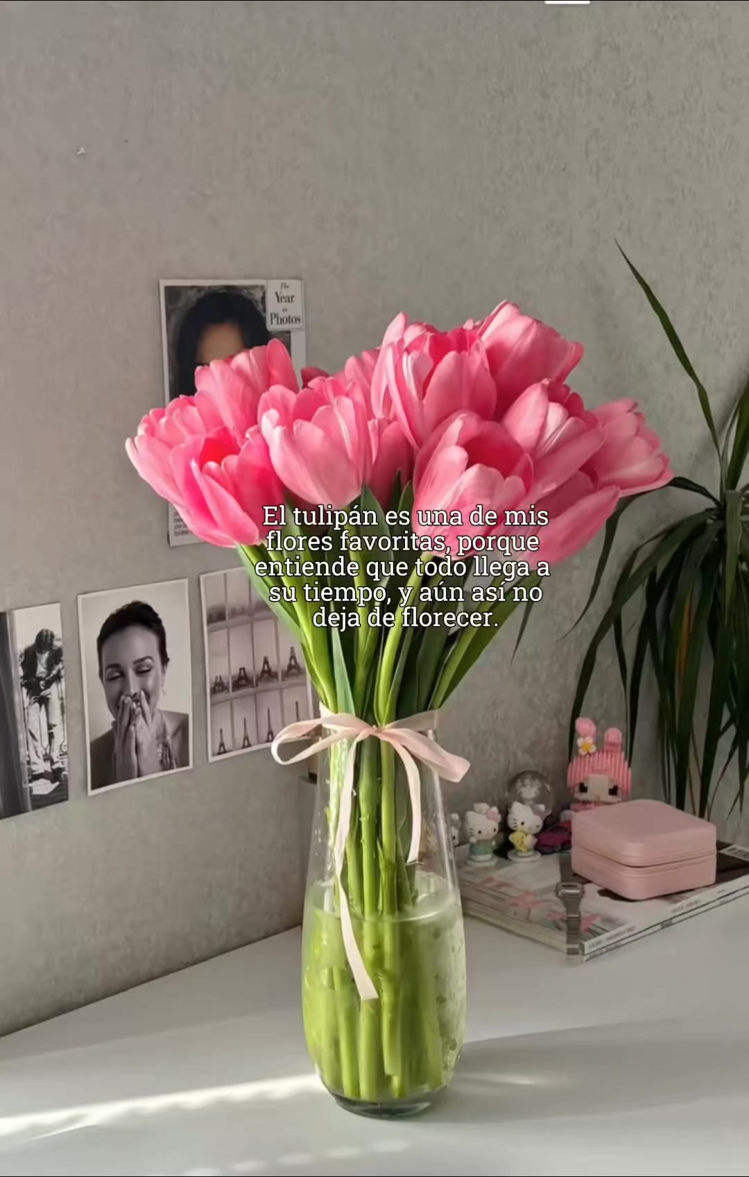 @❀𝑐ℎ𝑟𝑖𝑠𝑡𝑖𝑎𝑛 𝑔𝑖𝑟𝑙❀