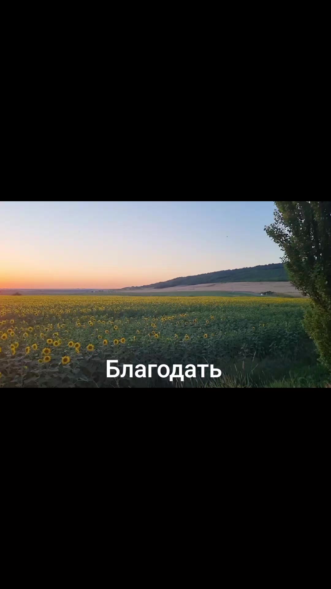 @smart_mom_anapa