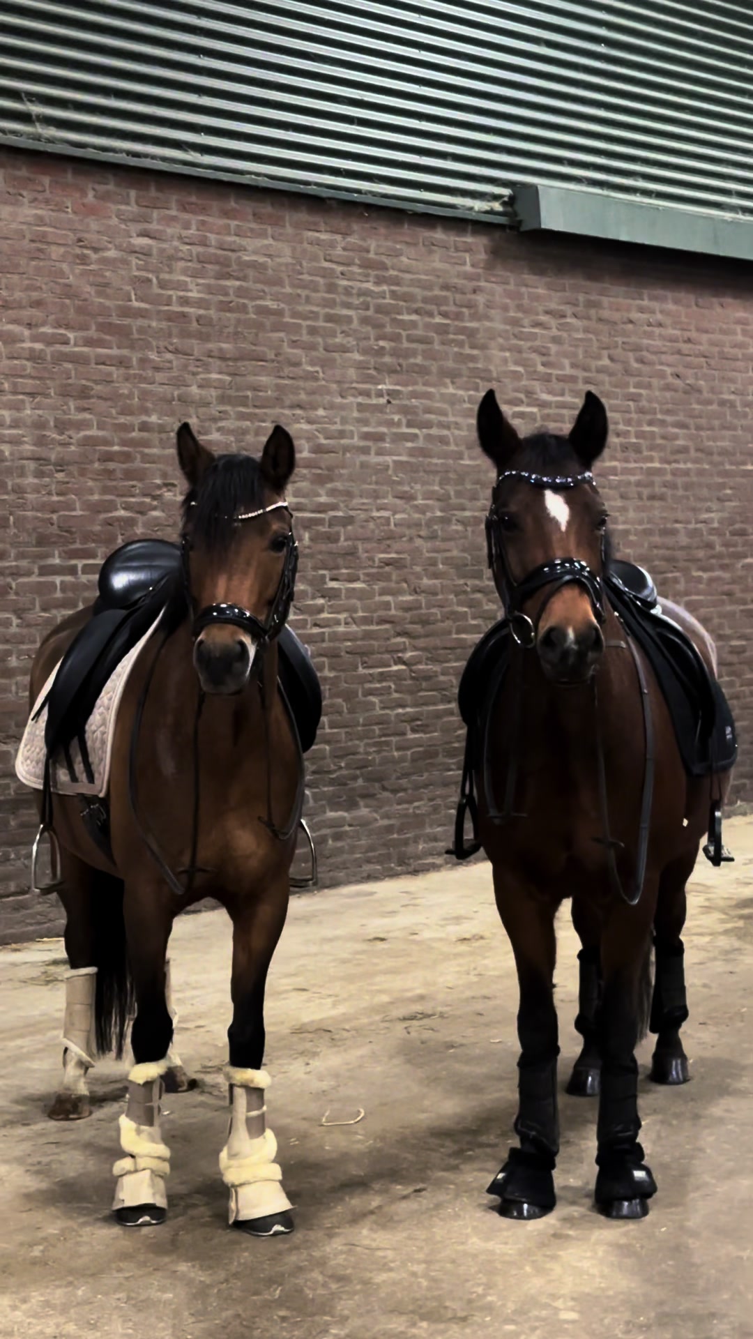 @𝐒𝐢𝐞𝐧𝐧𝐚 𝐓𝐨𝐥𝐤 🇳🇱