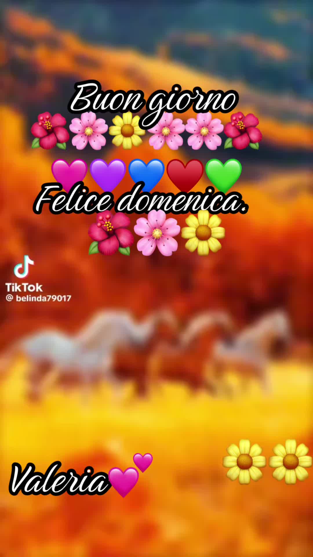@valeriaevangelis840