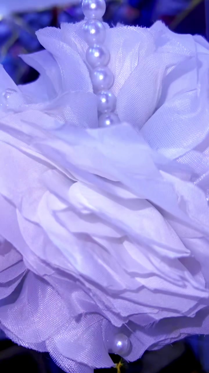 @Awa Foulard