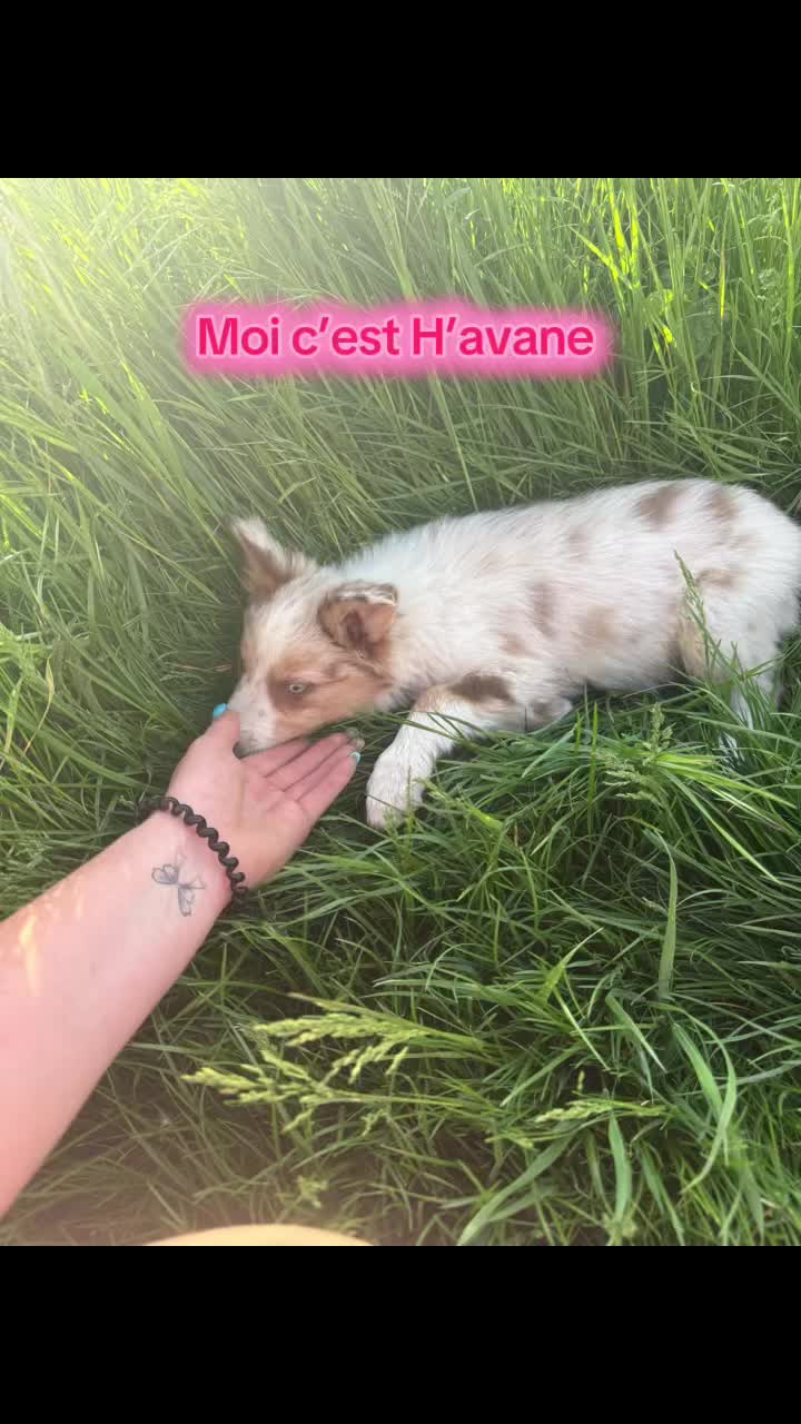 @Maëva 🐨