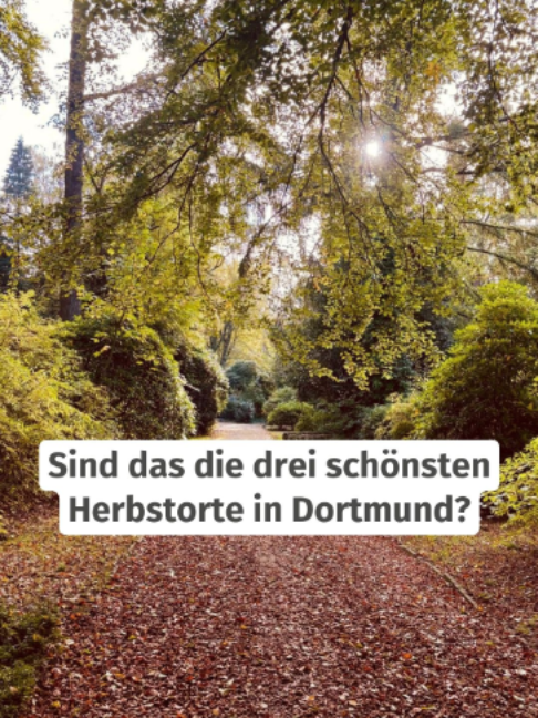 @WochenDOsis | WAZ Dortmund