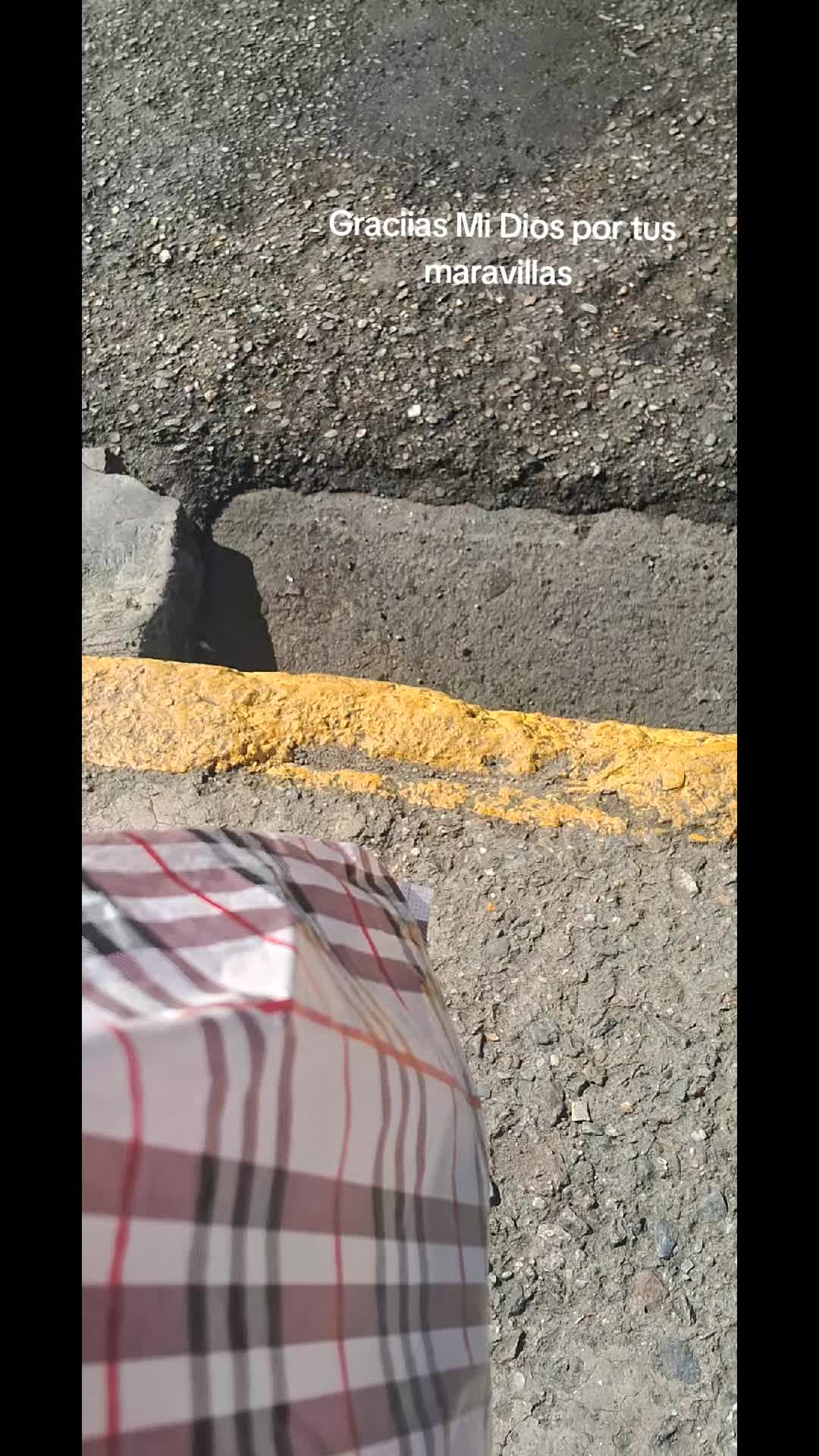 @Yitanllily🤍🦿