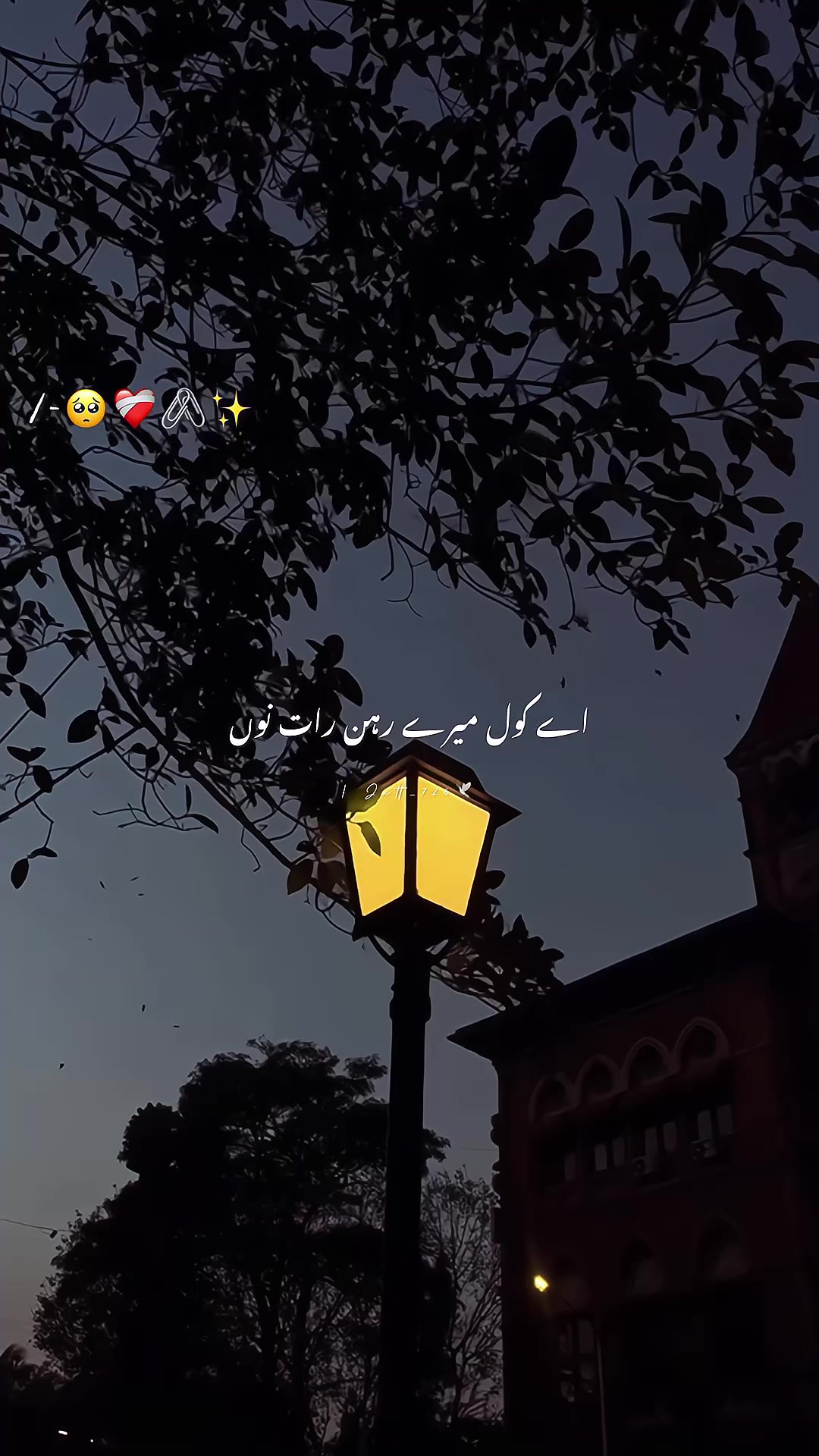 @𓆩🖤𓆪