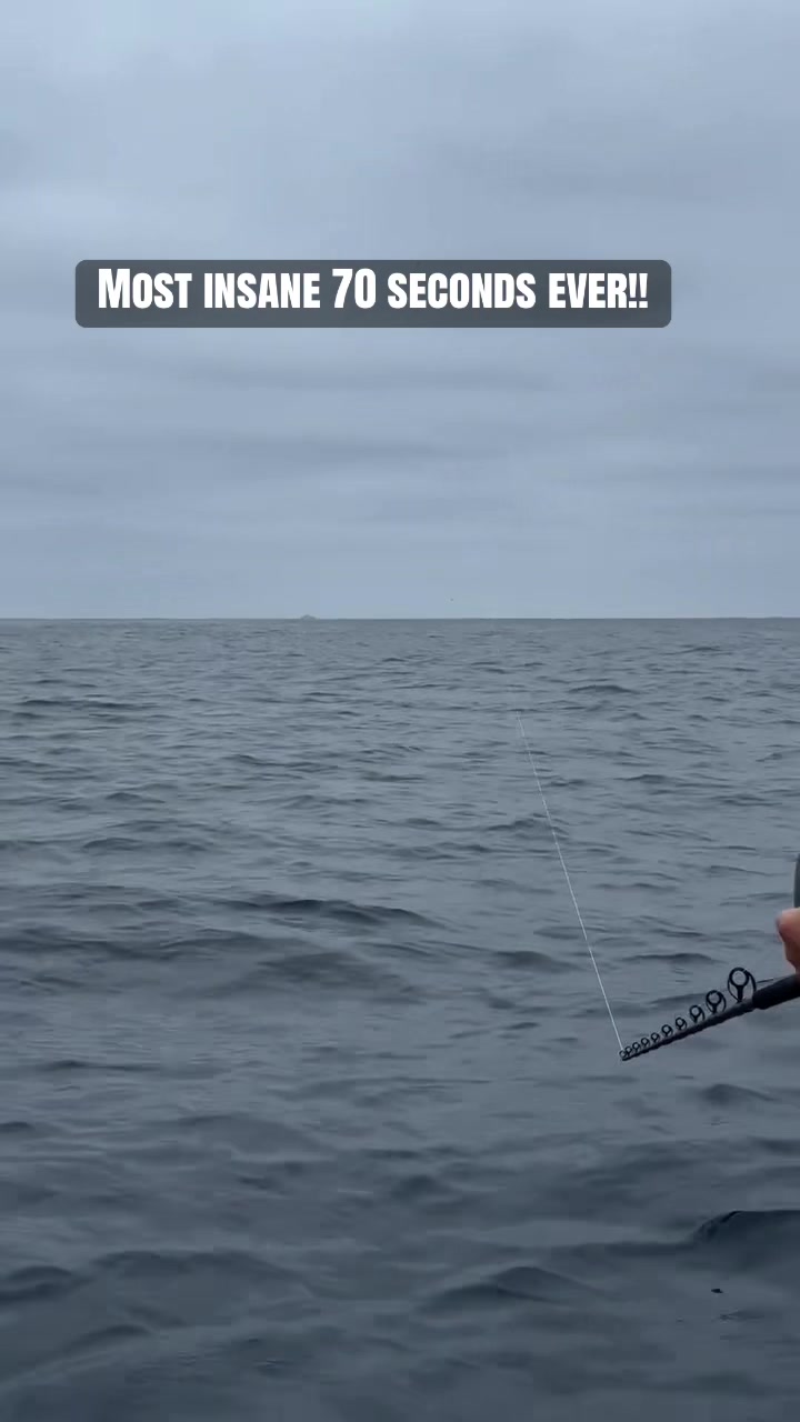 @daily.saltwater