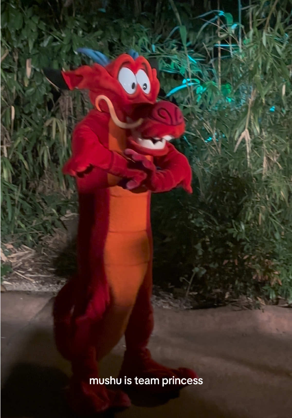 @disneyfamily