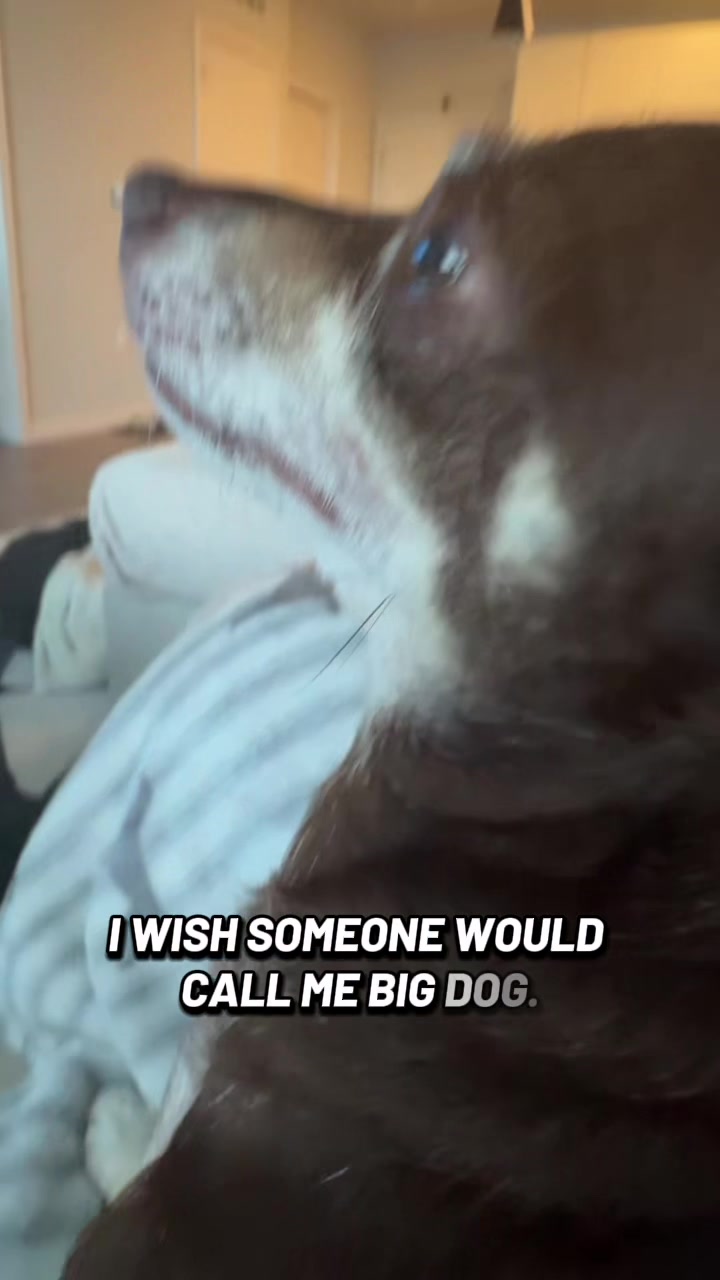@Bruno28