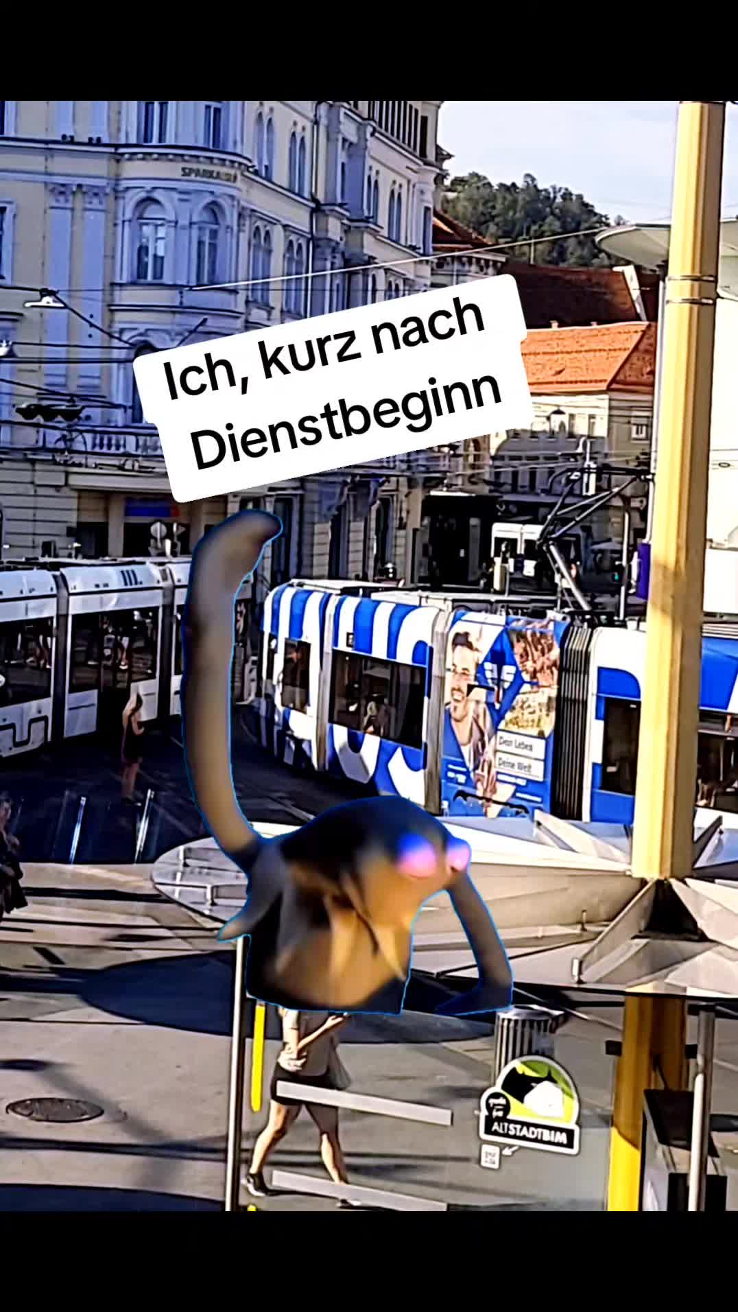 @Dani 🩷🦋