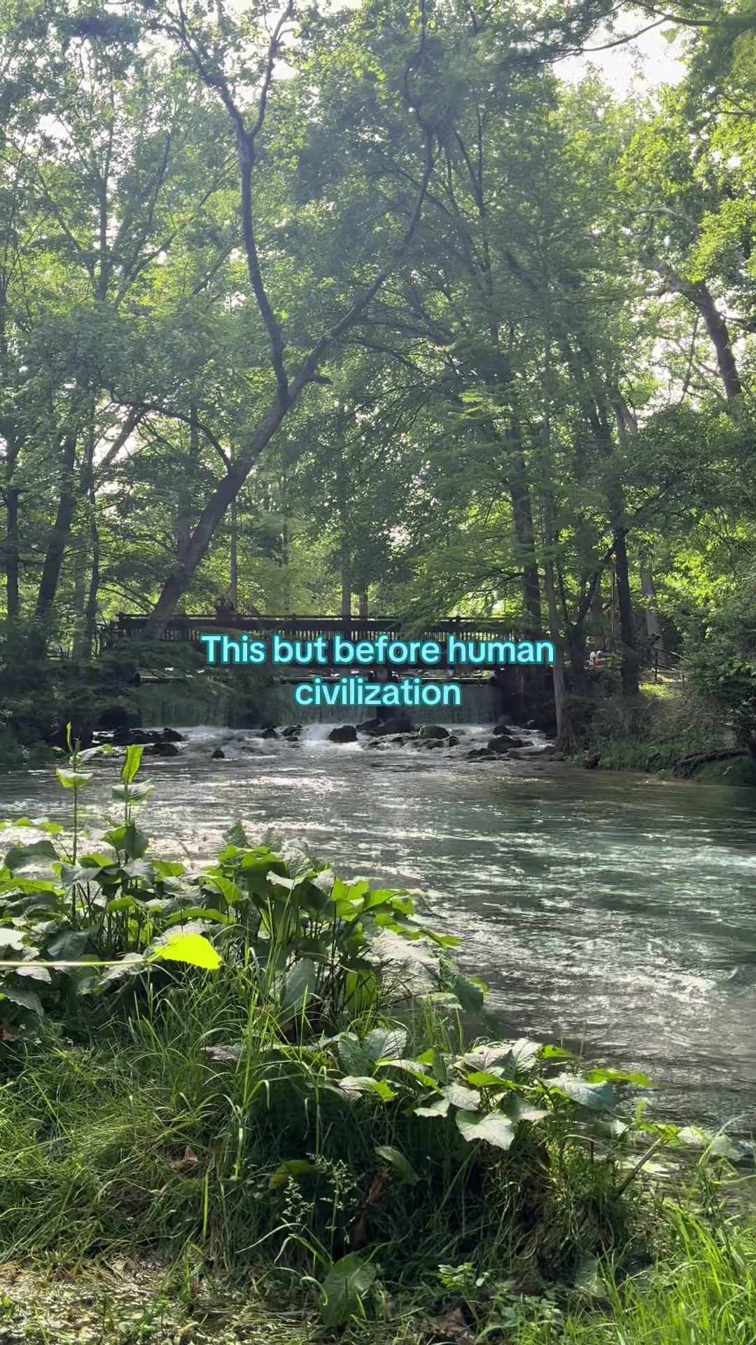 @Travis. [as]
