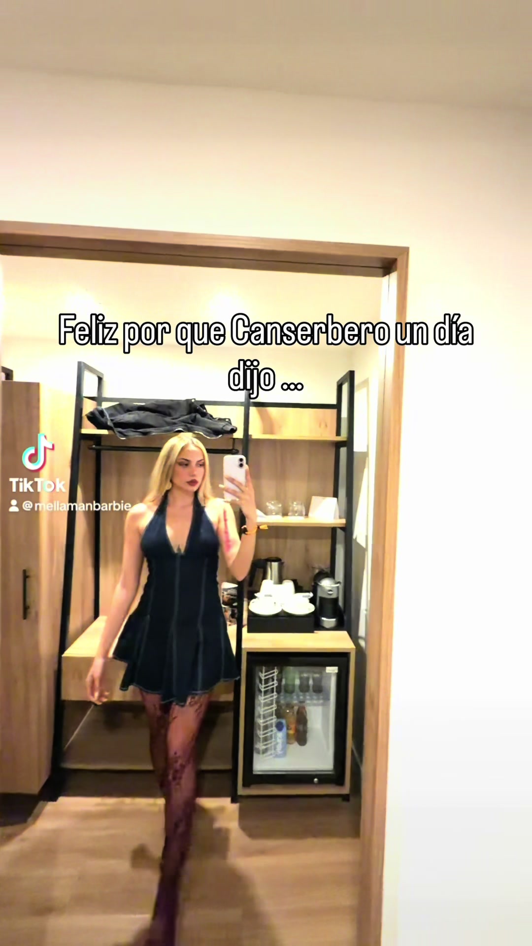 @mellamanbarbie_