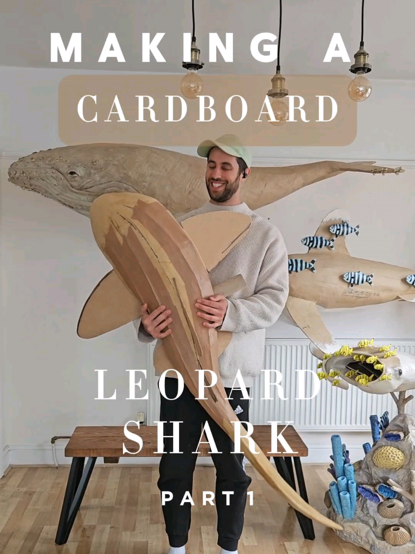 @Josh Gluckstein- Cardboard Art