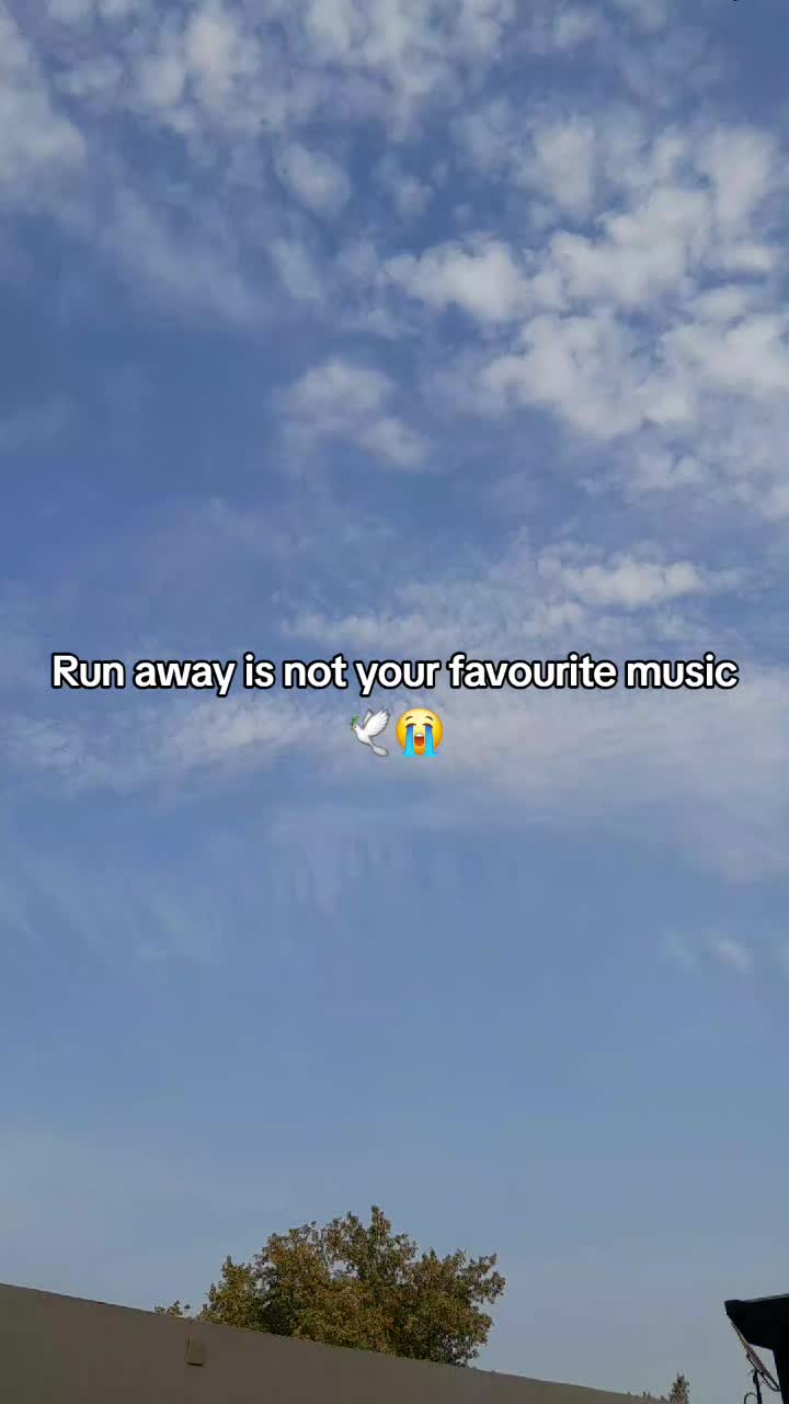 @๐ โง ๐ต๐ถ๐ฝ๐๐ถ ๐ฉ๐๐๐๐ โง