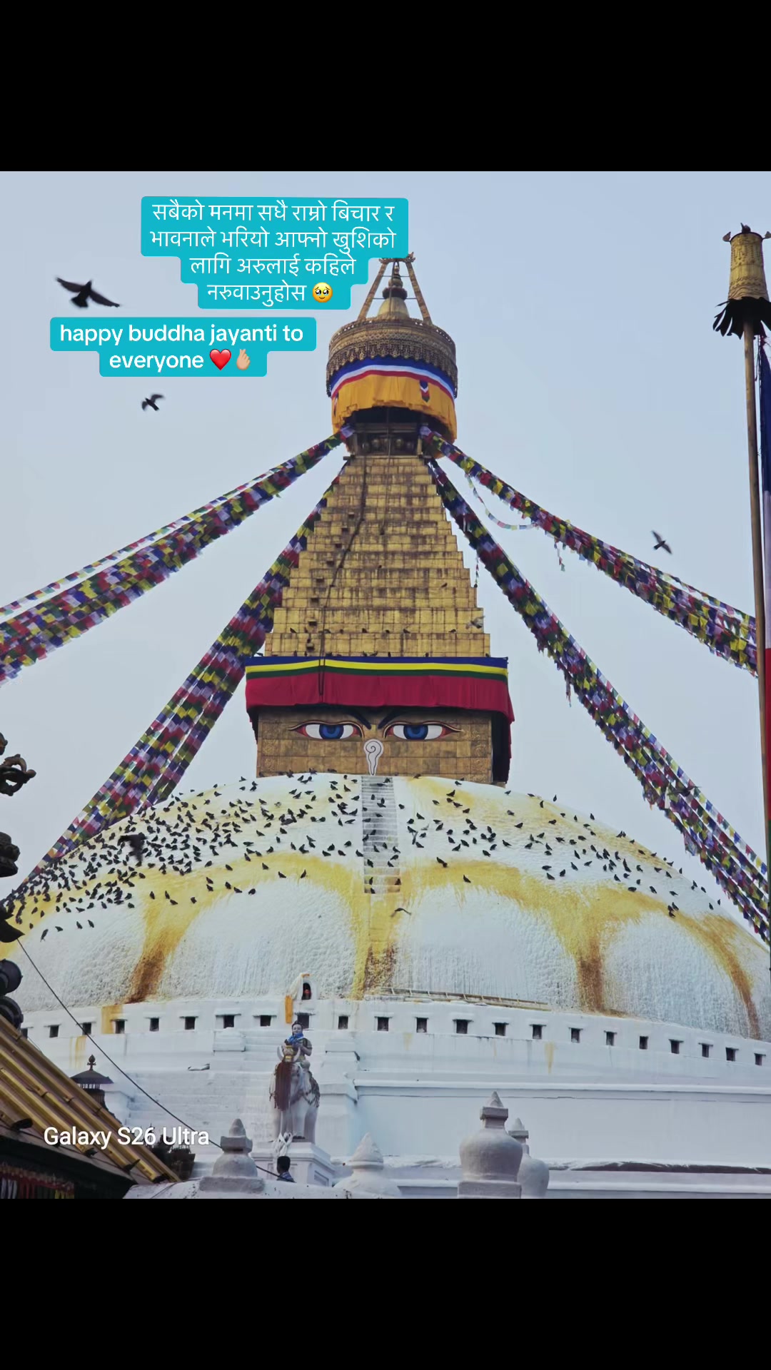 @malatibasnet38