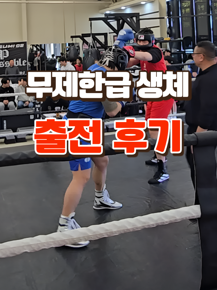 @LLBX 롱롱복싱